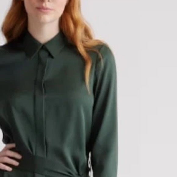 Quince Washable Stretch Silk Shirt Dress in Forest Green office luxury luxe feel - Picture 3 of 13